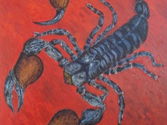107-Escorpión