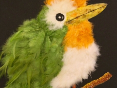 79-Pájaro plumas