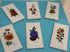 553 a 558 Grupo Mini