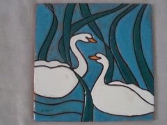 566-Cisnes