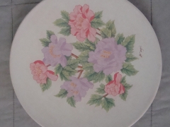 572-Plato Flores tenues