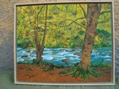 93-Rio Urrobi (Navarra)